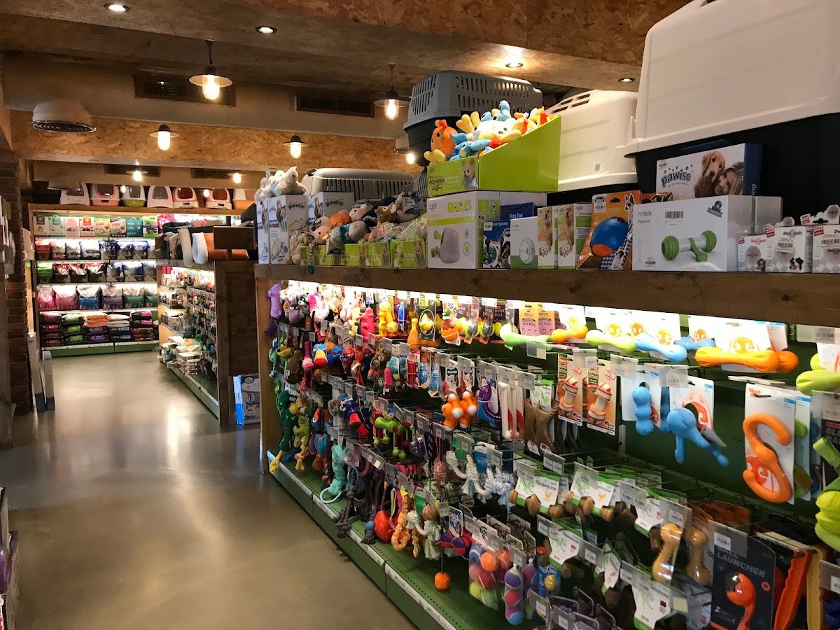 Petzone 2