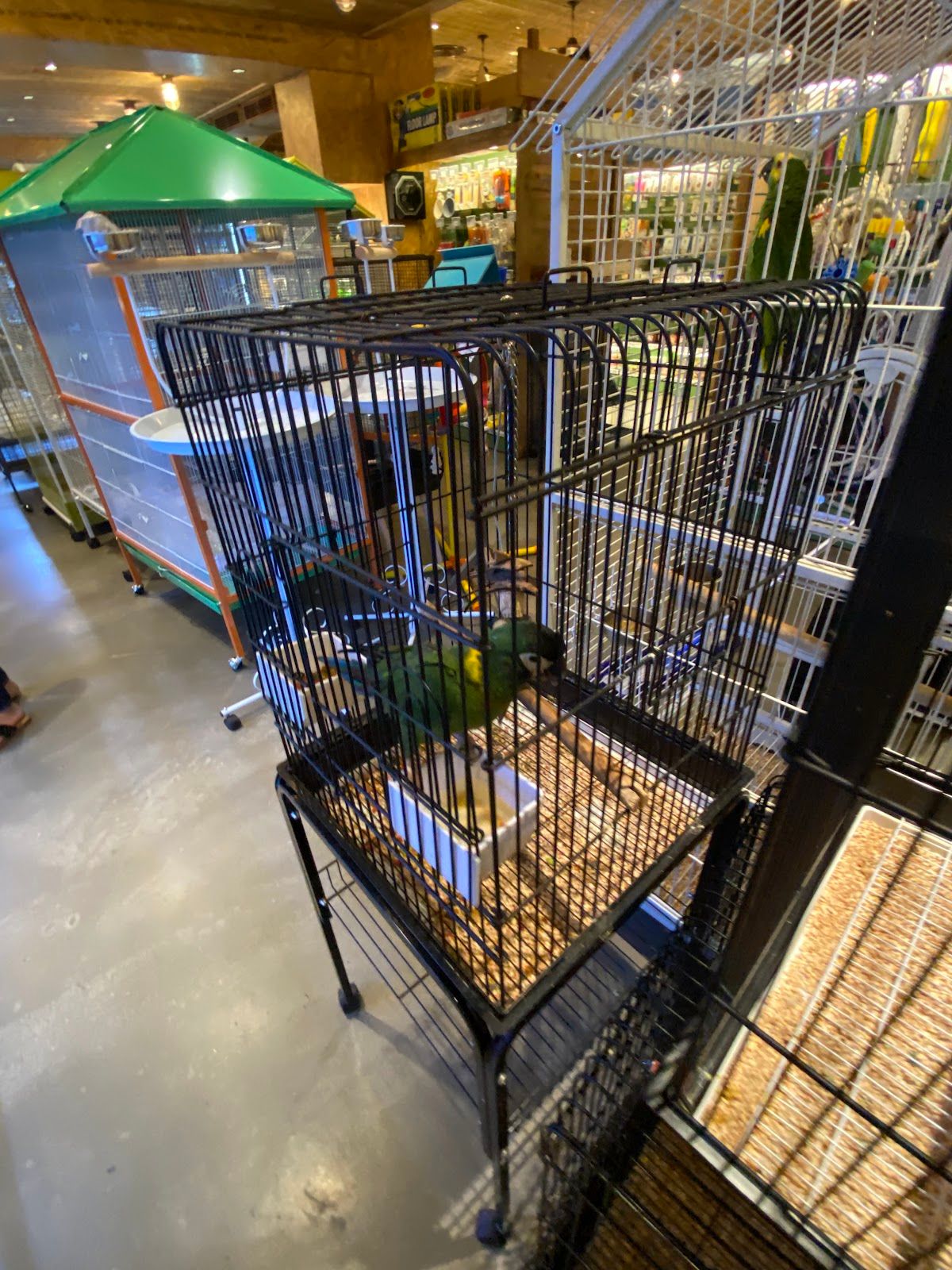 Petzone 4