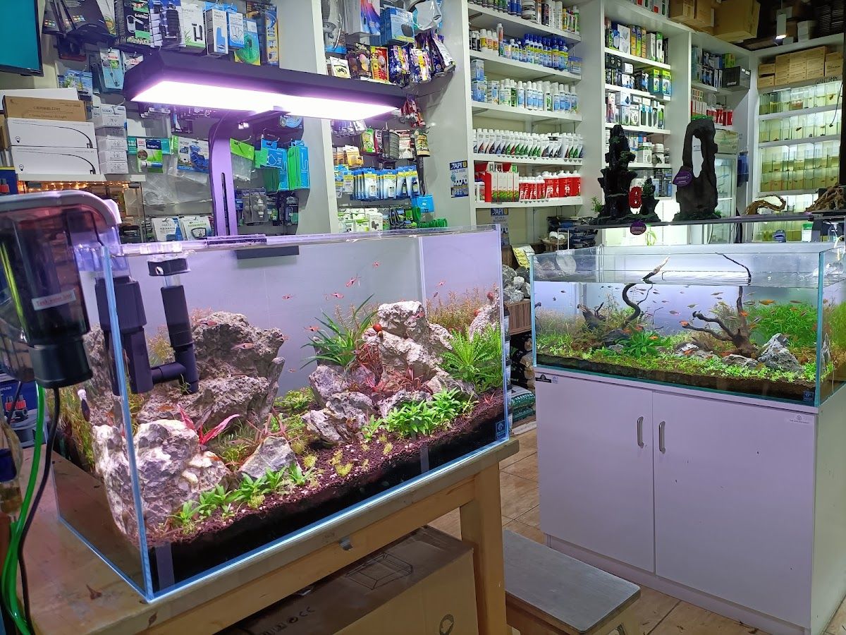 Green Desert Aquarium Trading 3
