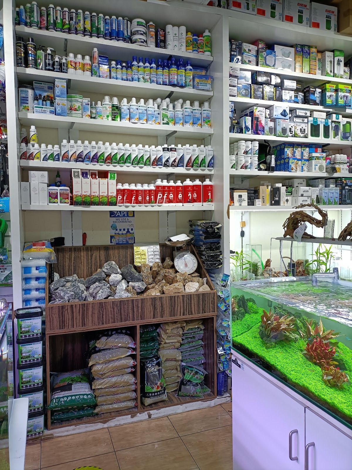 Green Desert Aquarium Trading 4
