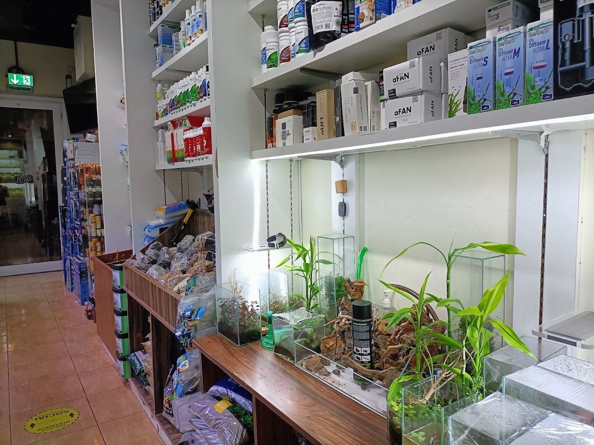 Green Desert Aquarium Trading 5