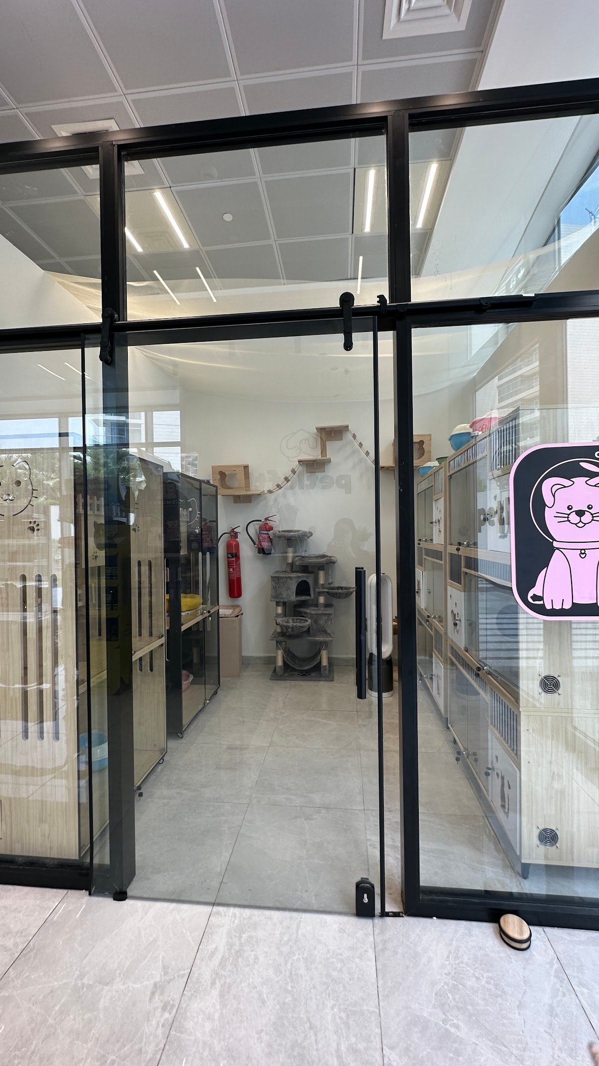 Pet Lounge