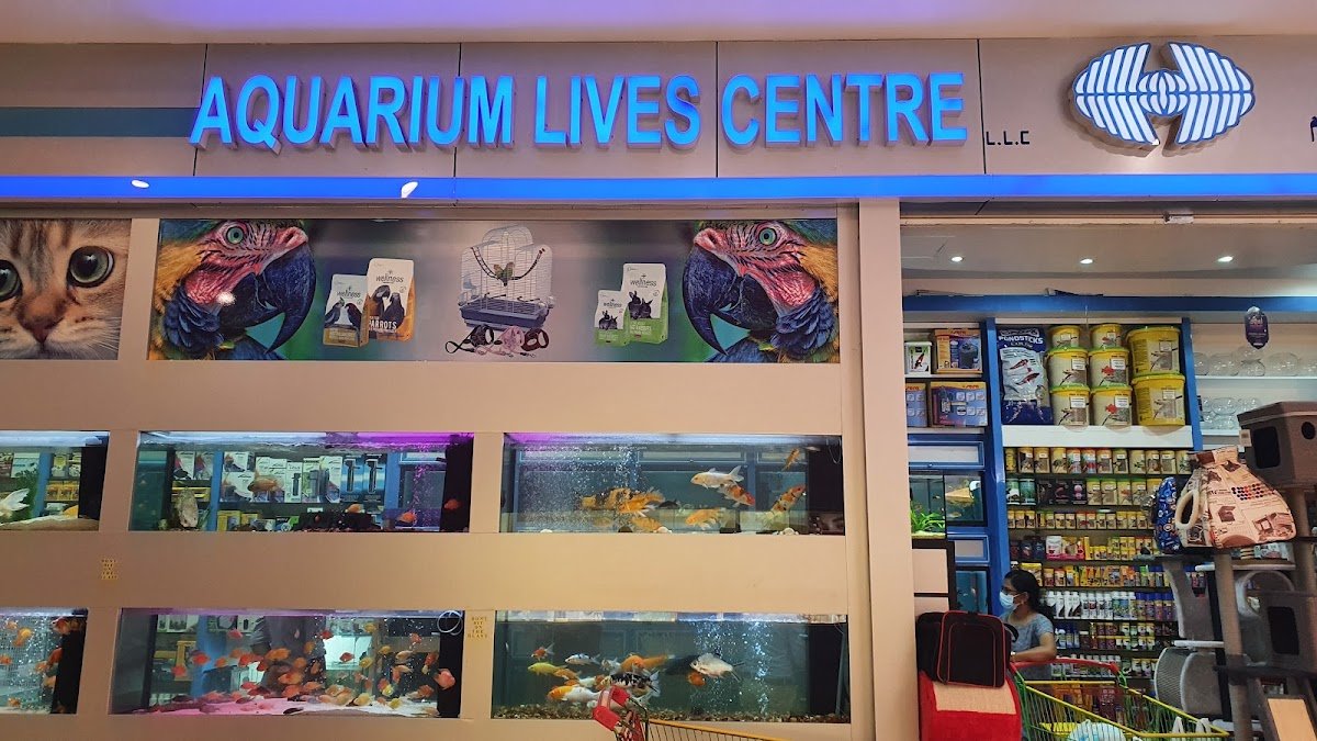 Aquarium Lives - Al Warsan