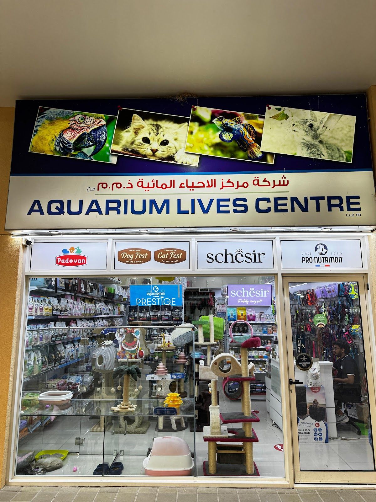 Aquarium Lives - Al Warsan 3
