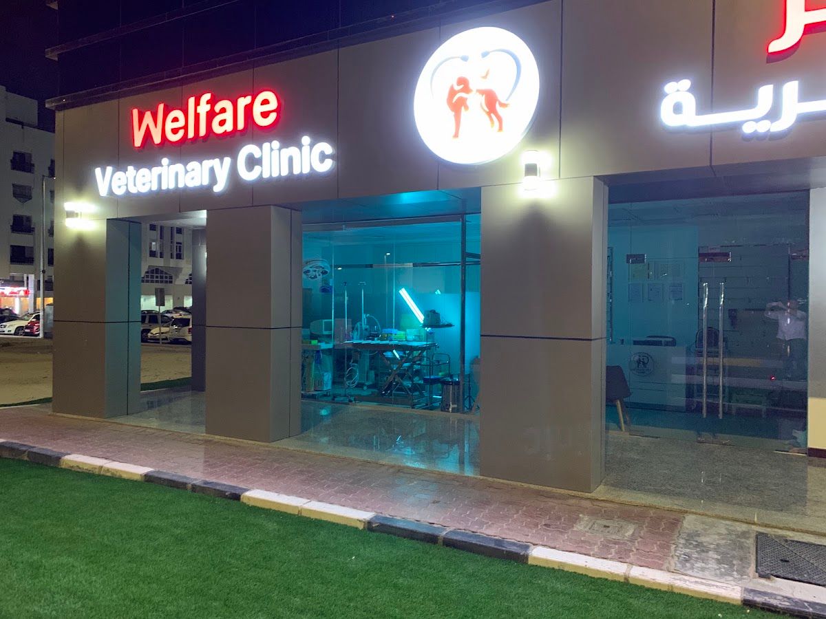 Welfare Veterinary Clinic - عيادة ويلفير البيطرية 3