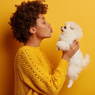 Cute Pets 5