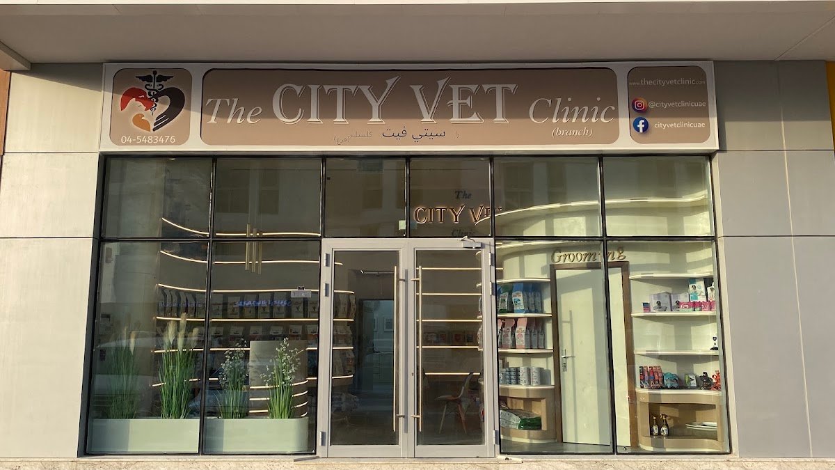 The City Vet Clinic - Meydan Branch