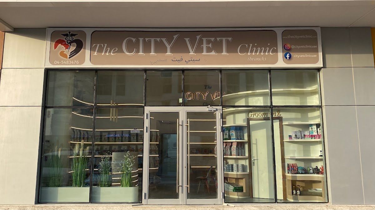 The City Vet Clinic - Meydan Branch 3