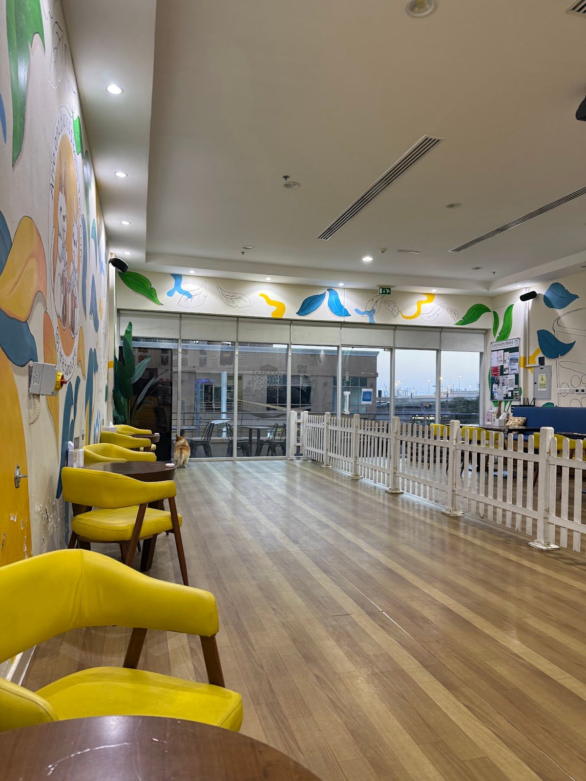 Aria and Bianca’s Dog Cafe JLT - Indoor dog friendly 2