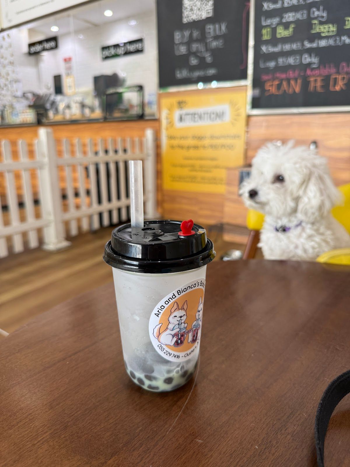 Aria and Bianca’s Dog Cafe JLT - Indoor dog friendly 4