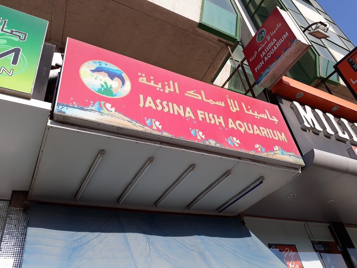 Jassina Fish Aquarium & Birds shop