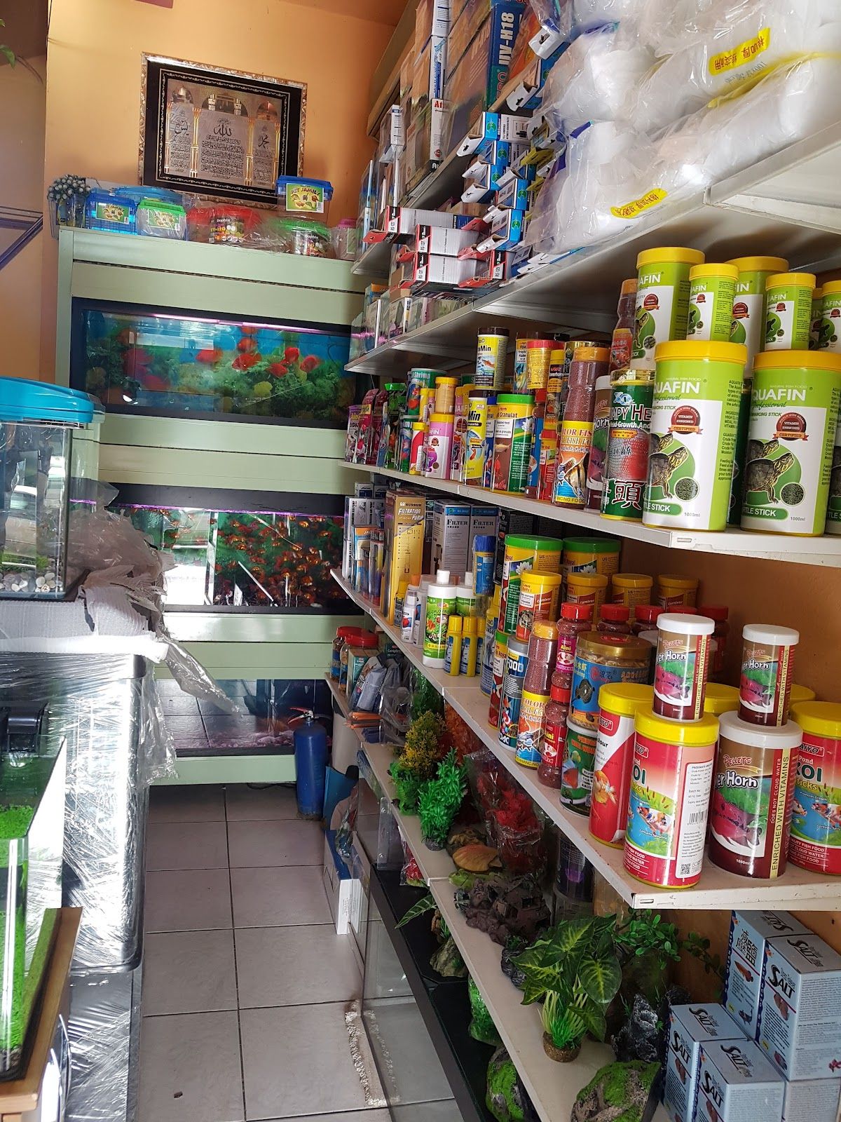 Jassina Fish Aquarium & Birds shop 2