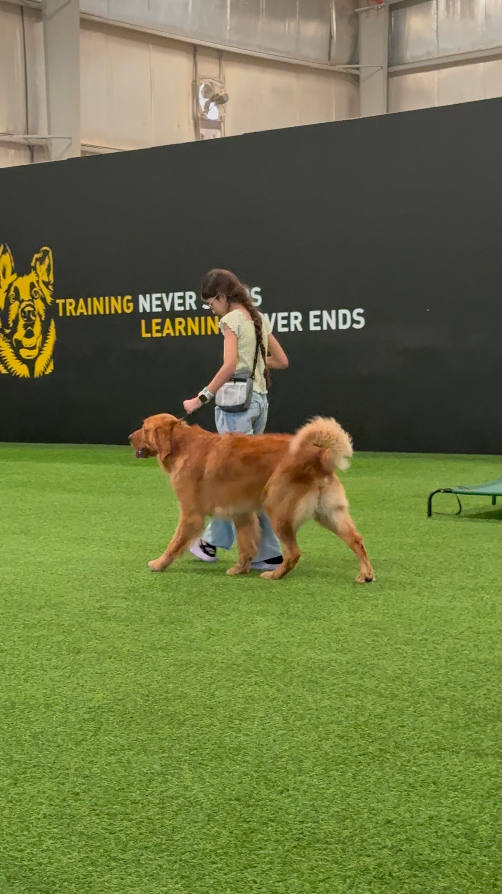 SAFE K9 | Dog Boarding & Training 2