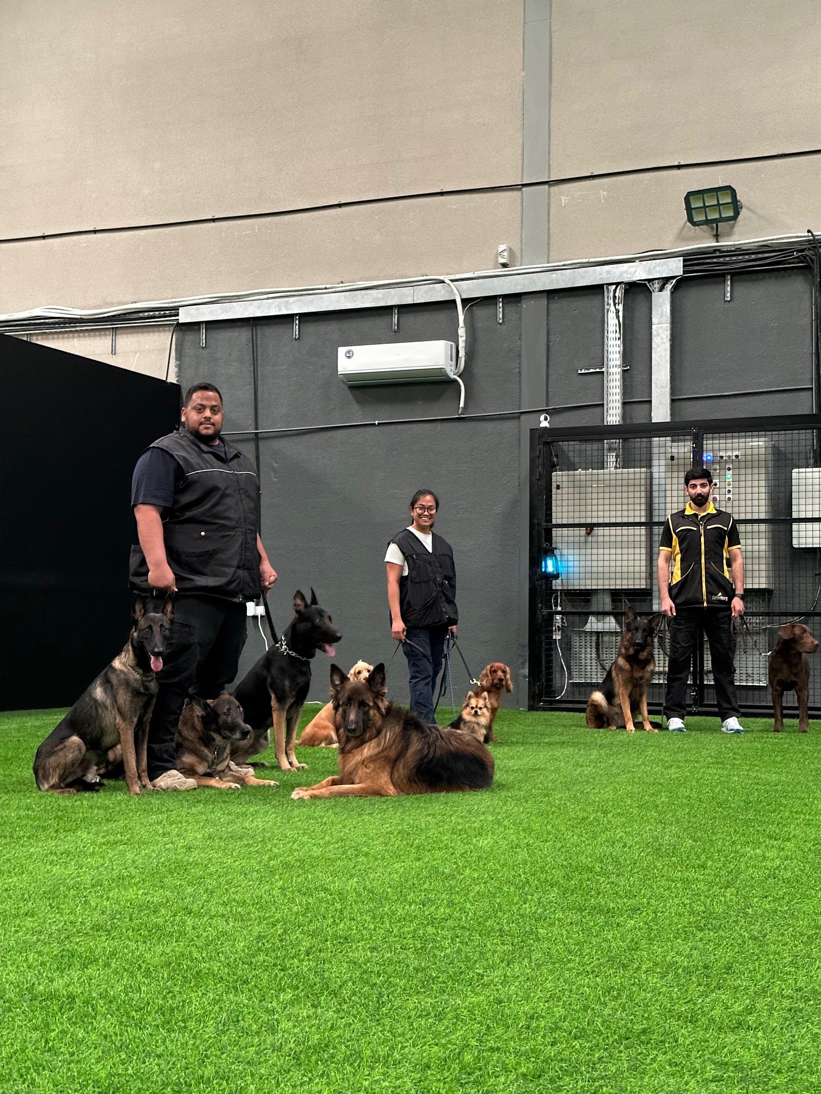 SAFE K9 | Dog Boarding & Training photo 3