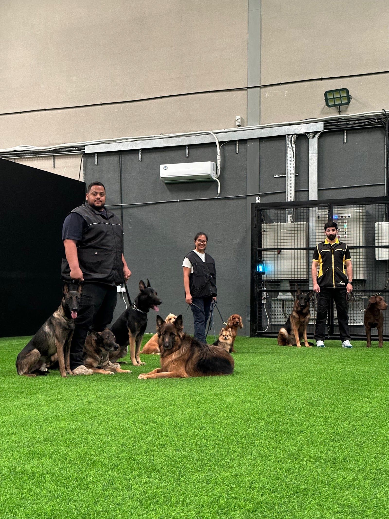SAFE K9 | Dog Boarding & Training 3
