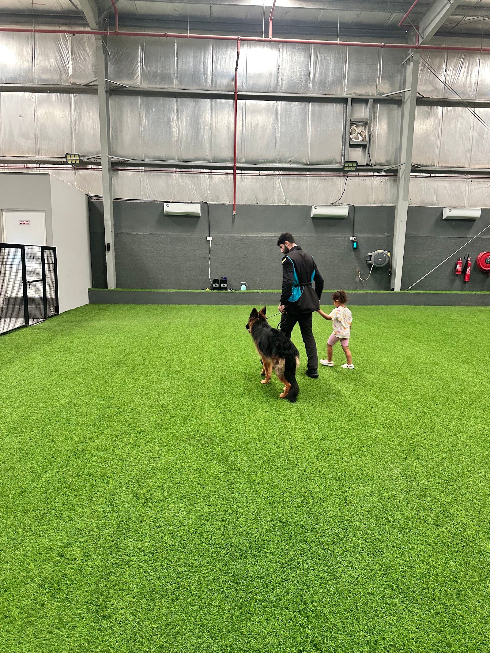 SAFE K9 | Dog Boarding & Training 5