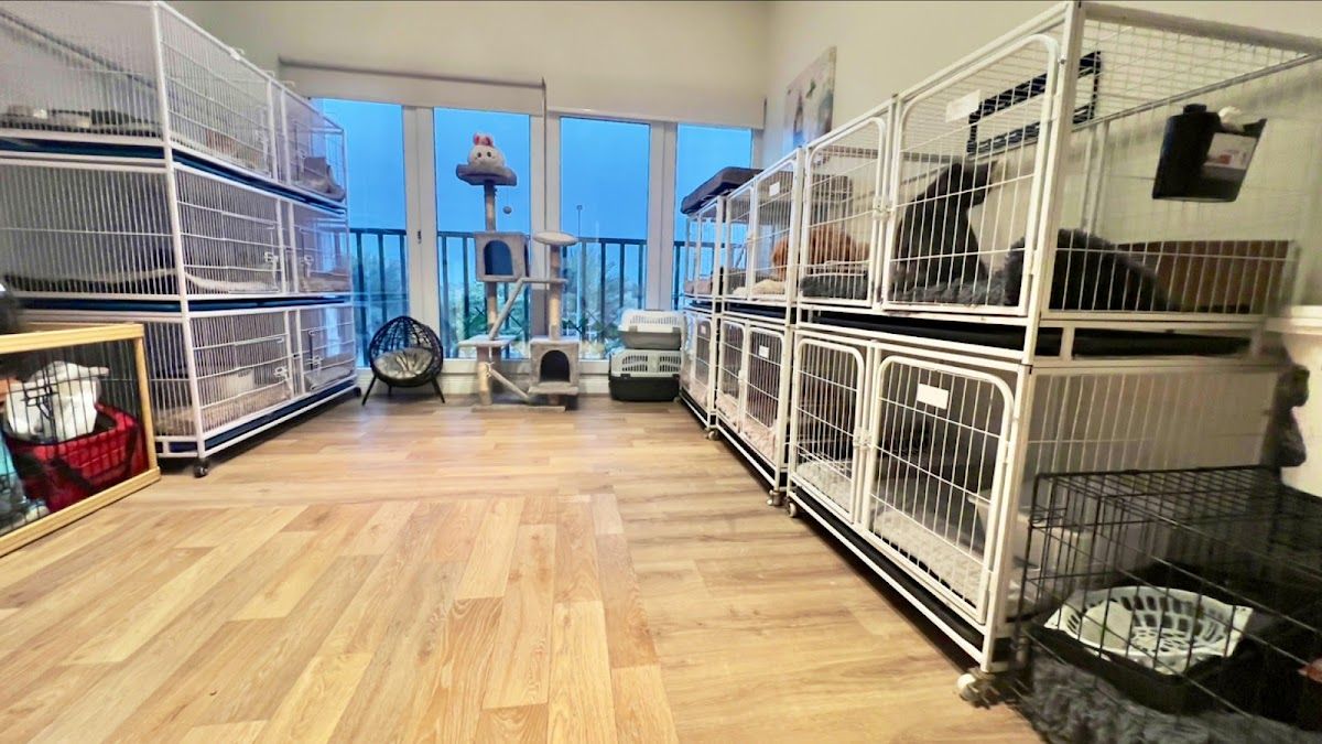 Unleash Domestic Pets Boarding LLC 4