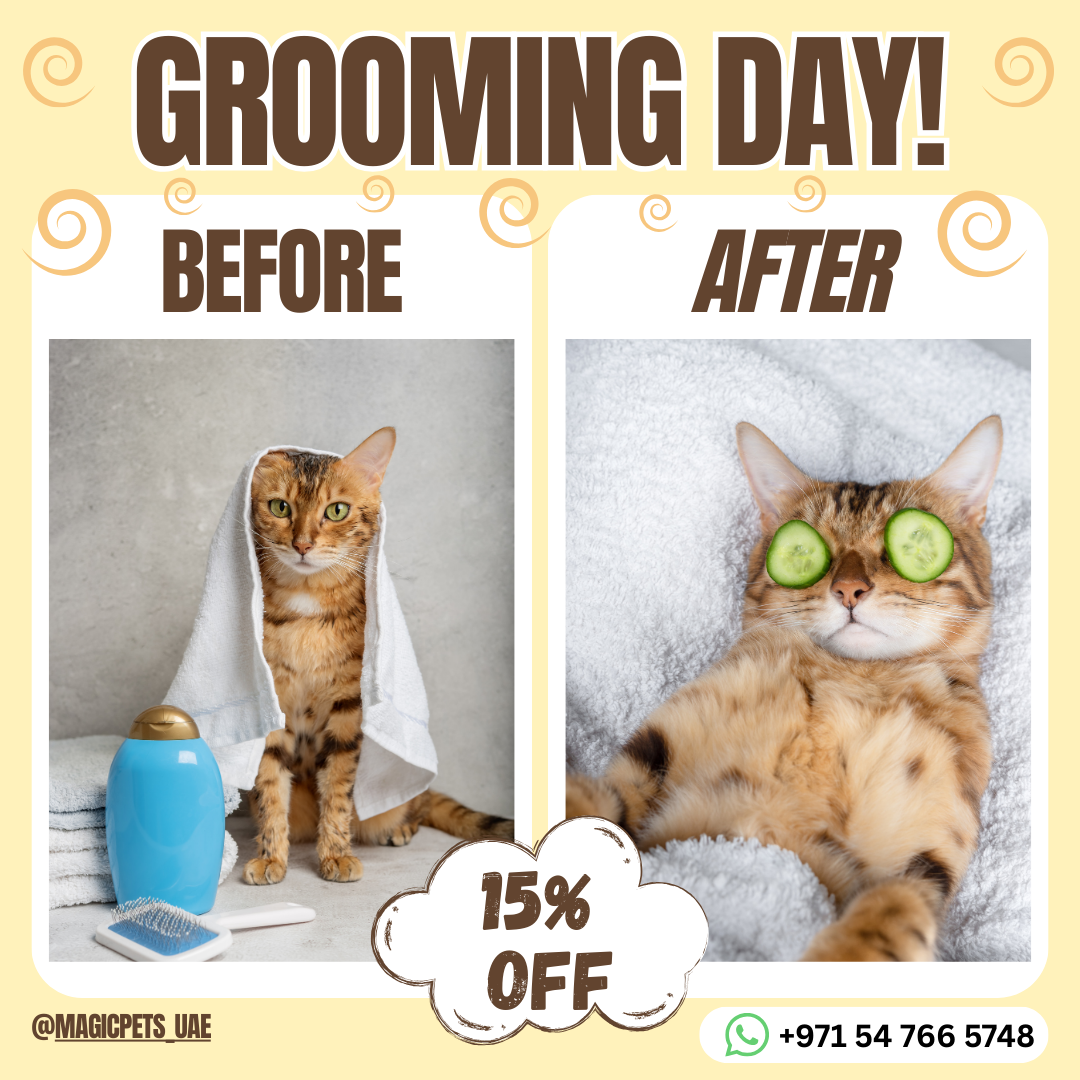 Pet Plaza Pet Grooming 2