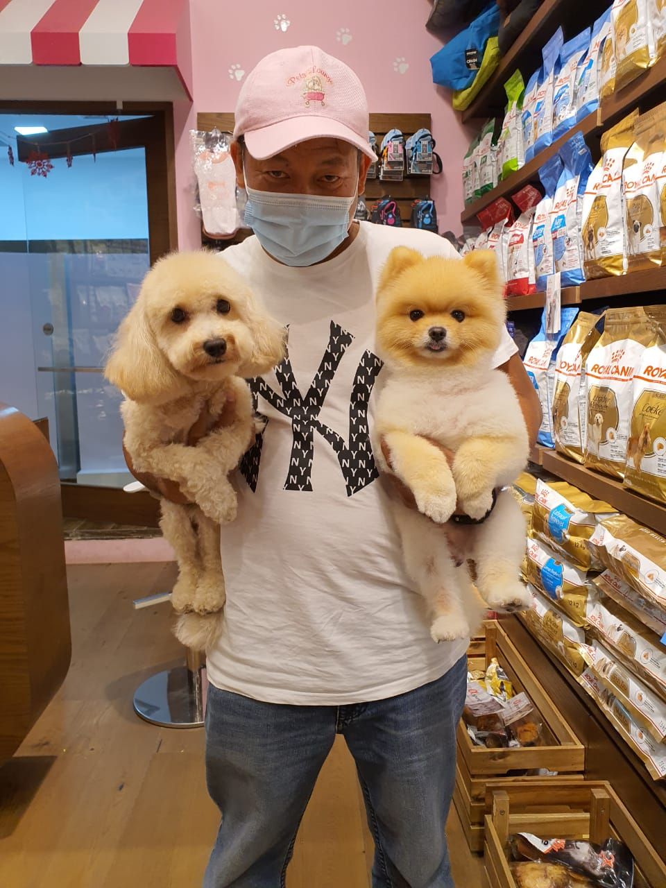 Pet Emporium 2