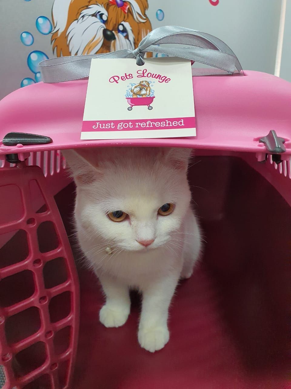 Pet Emporium 3