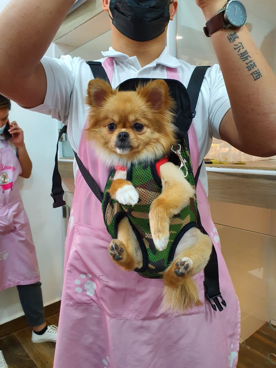 Pet Emporium 5
