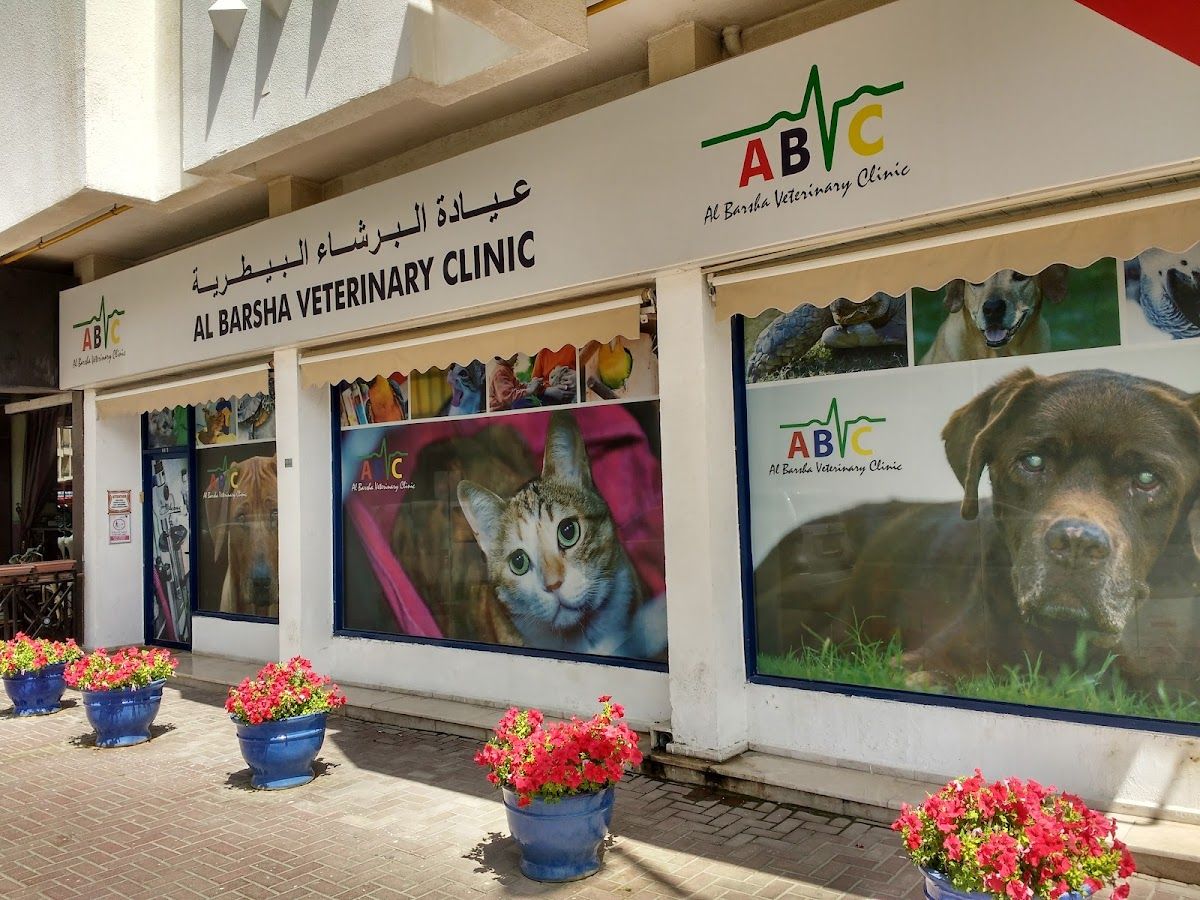 Al Barsha Veterinary Clinic LLC 2