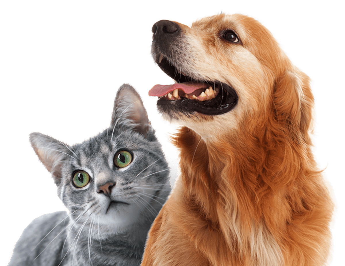 Duo Animal Care