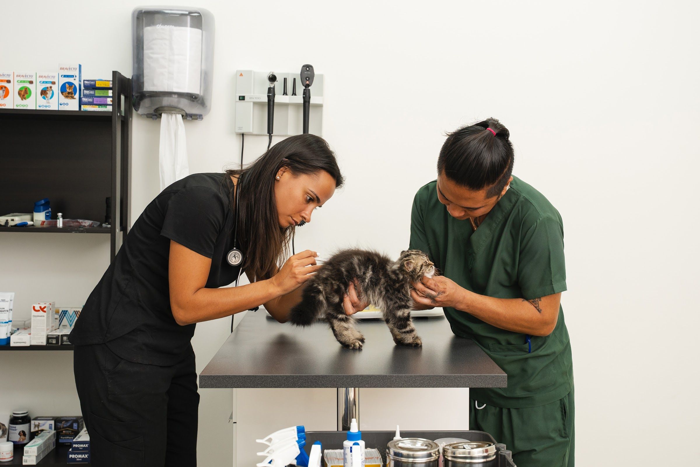 Star Veterinary Clinic - Sports City 2