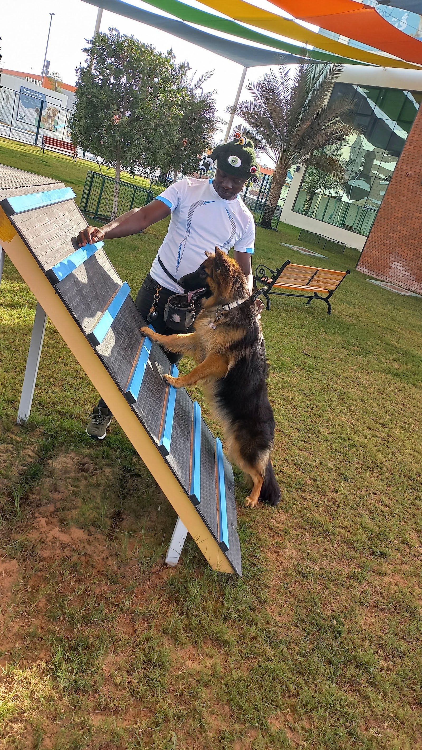 Urban Paws Fitness 3