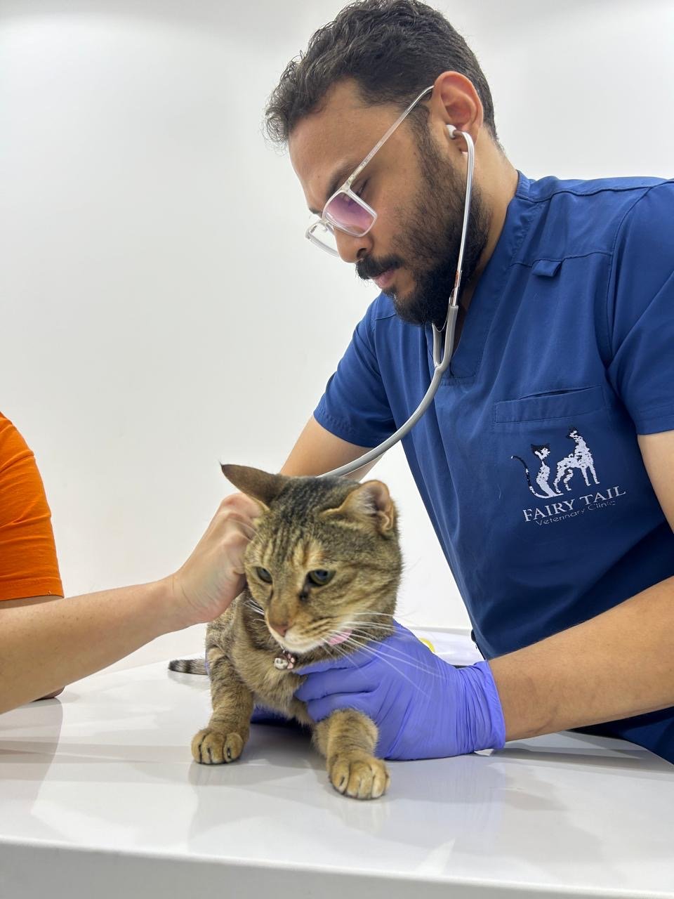 Fairy Tail Veterinary Clinic