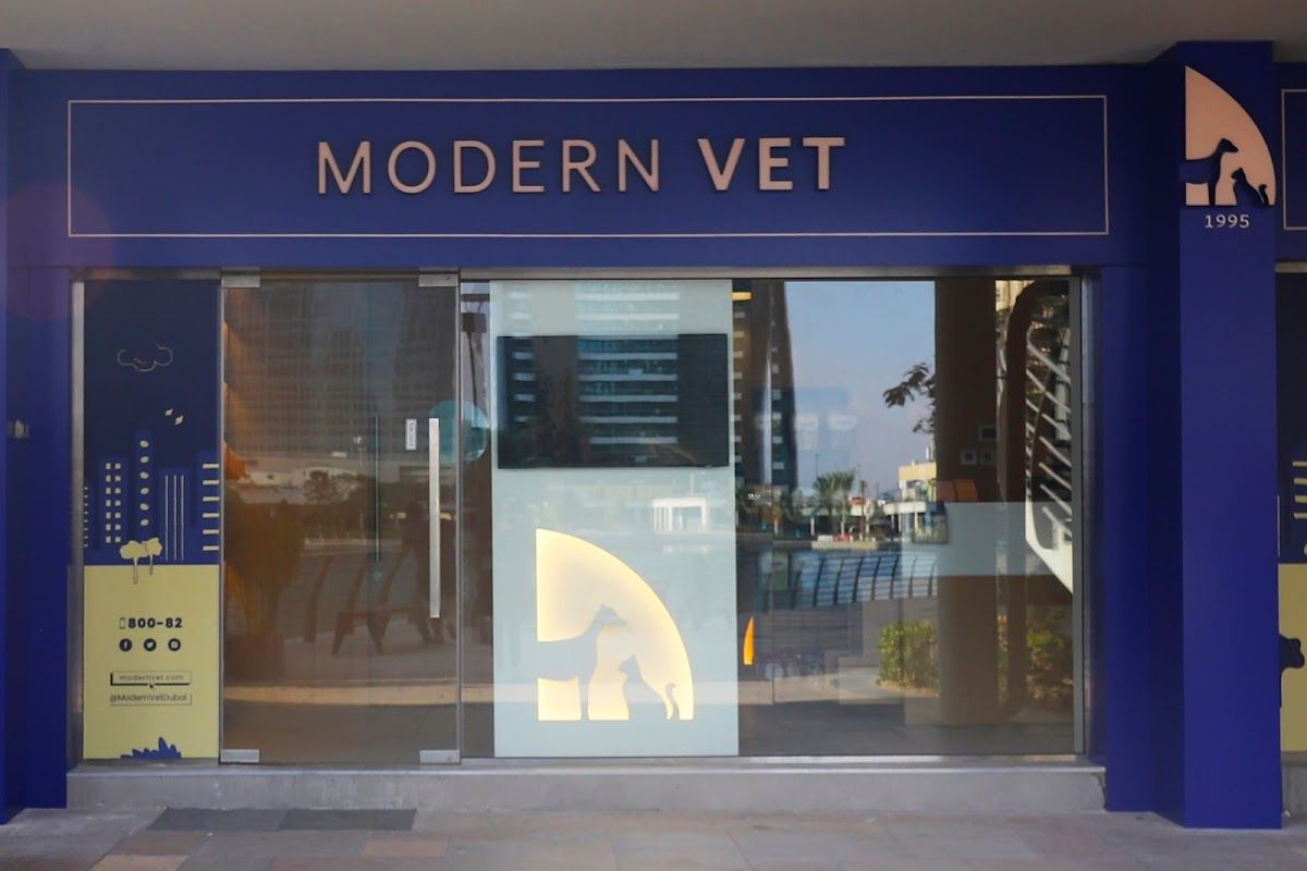 Modern Vet JLT 4