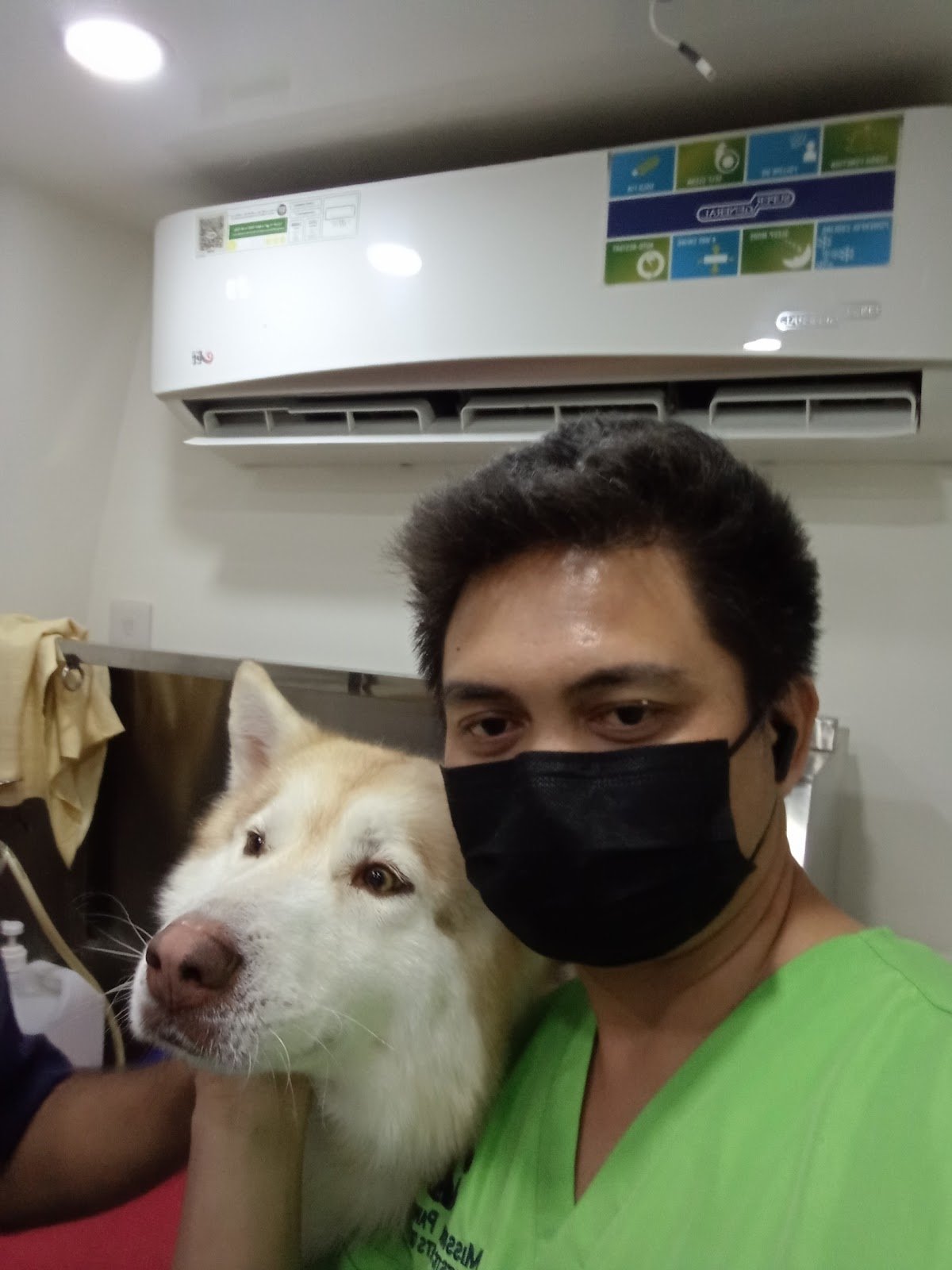 Mission Pawsible Domestic Pets Grooming