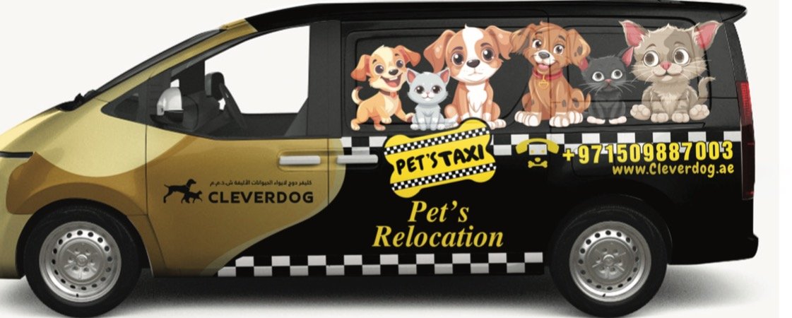 Cleverdog