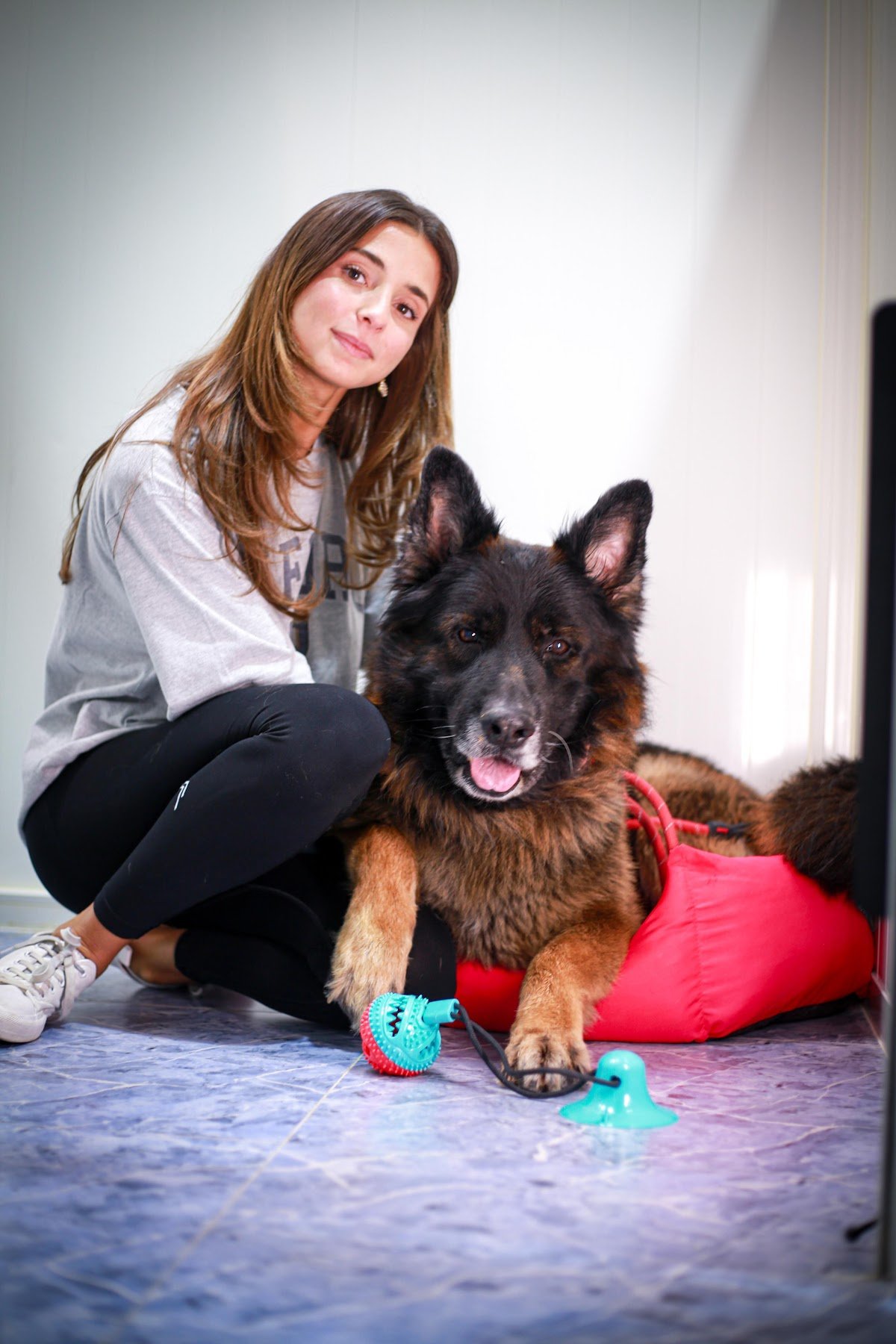 Pet Fun Park - Dog Boarding, Dog Daycare & Pet Grooming