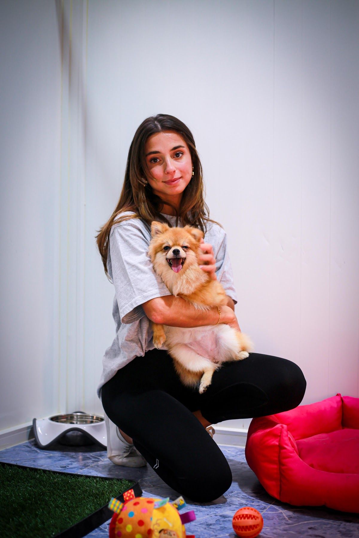 Pet Fun Park - Dog Boarding, Dog Daycare & Pet Grooming 4