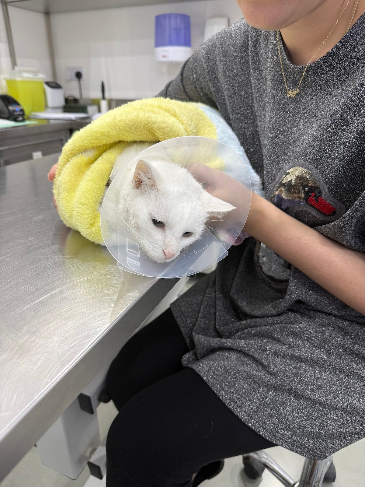 ZVC Veterinary Center photo 5