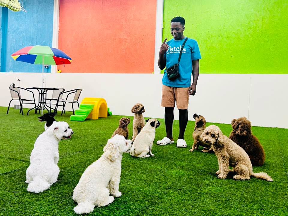 Fetch Dubai Daycare And Boarding 2
