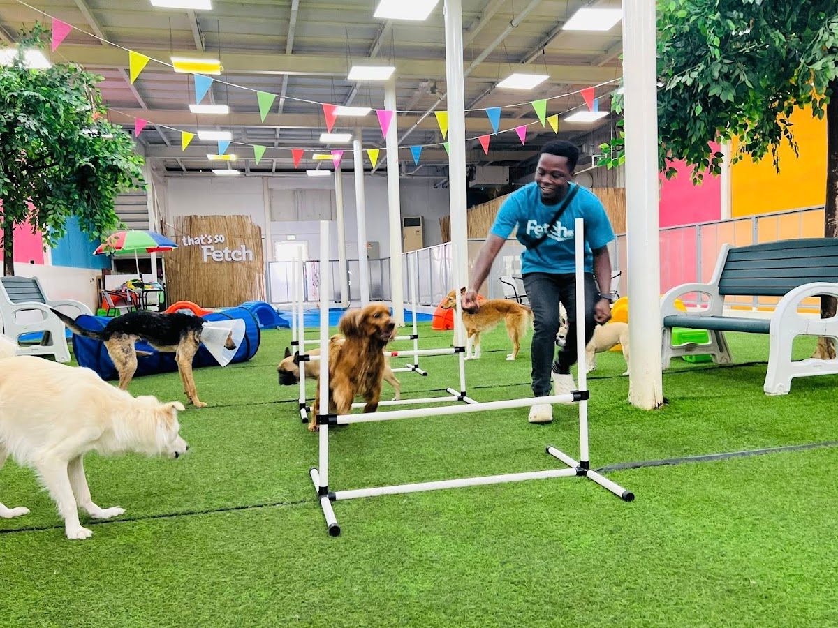 Fetch Dubai Daycare And Boarding 3