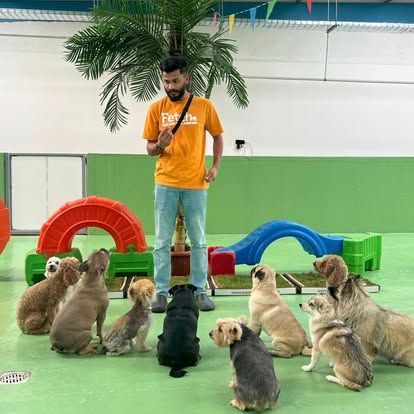 Fetch Dubai Daycare And Boarding 4