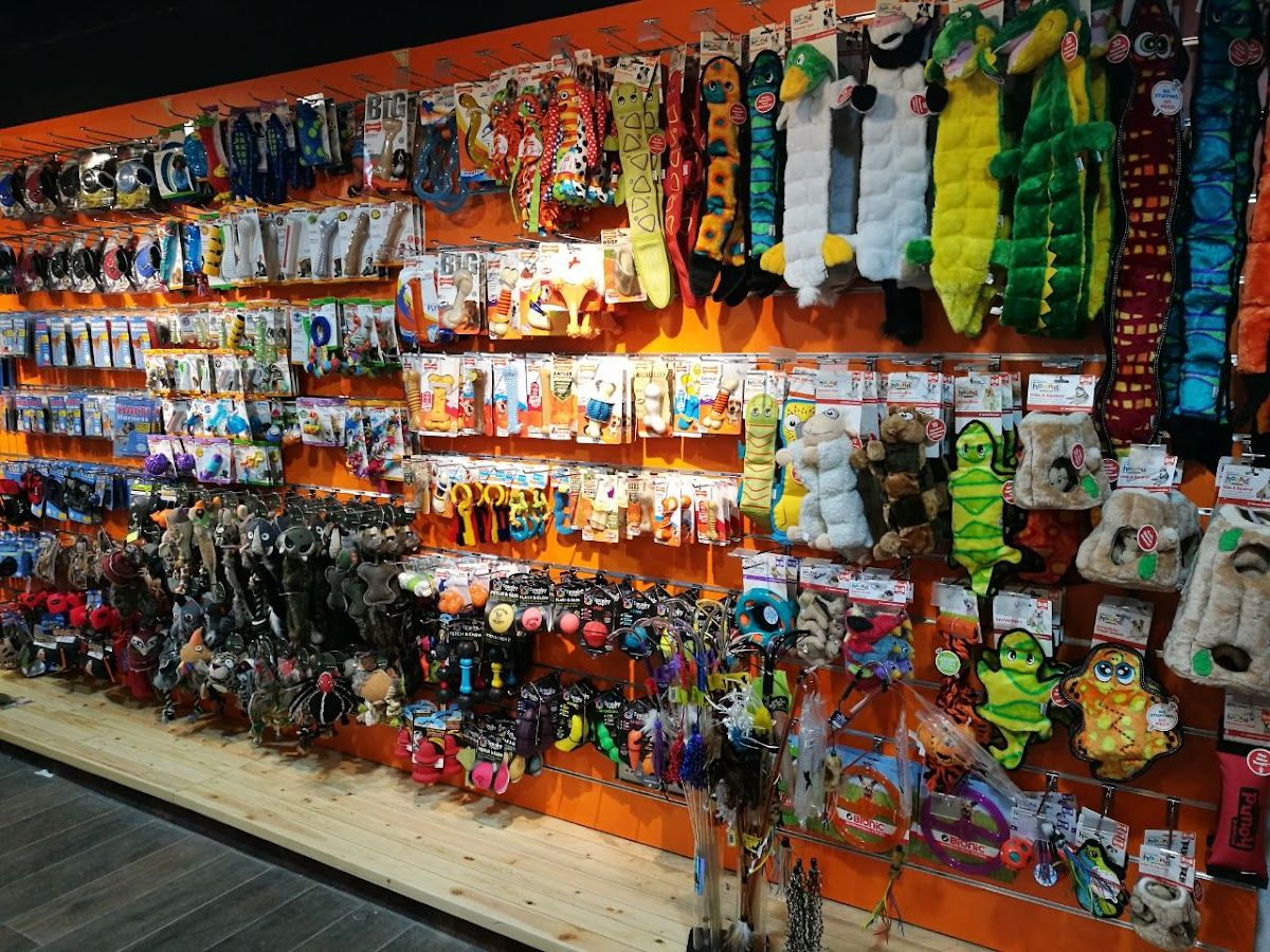 Pet Corner Al Barsha Pet Shop 2