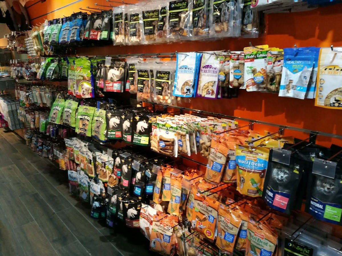 Pet Corner Al Barsha Pet Shop 5