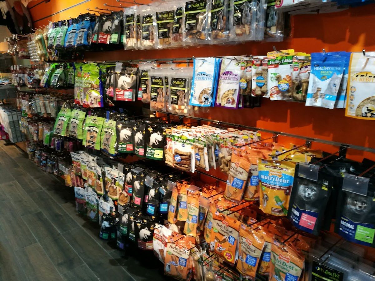 Pet Corner Al Barsha Pet Shop photo 5