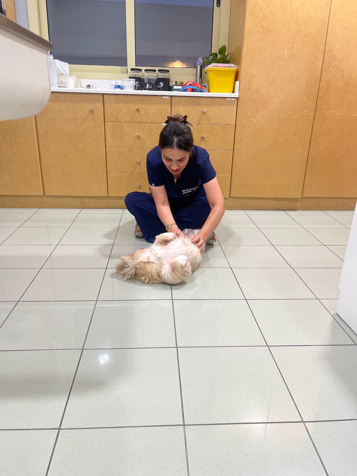 Northfield Veterinary Clinic
