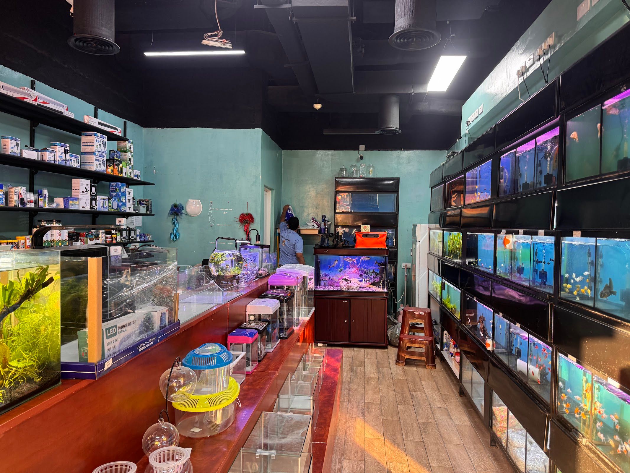 Feathers and Fins Aquarium Shop - Al Karama 2
