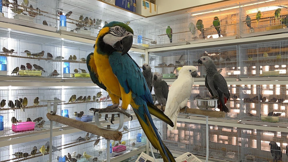 Zoo and Pet photo 2