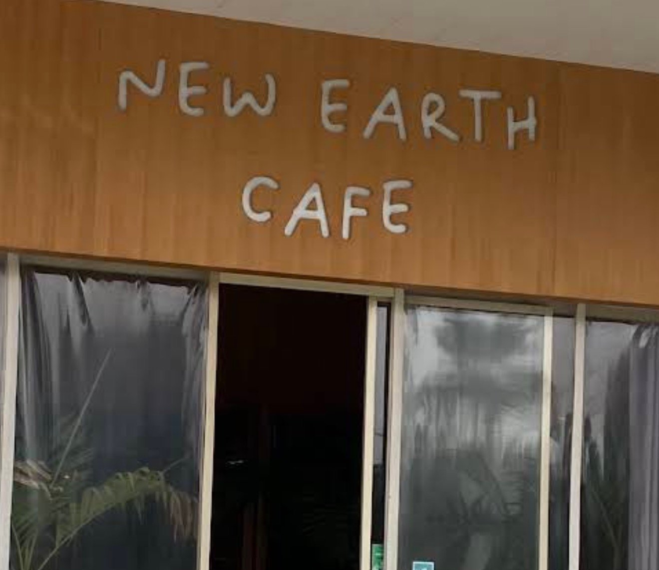New Earth Cafe photo 5