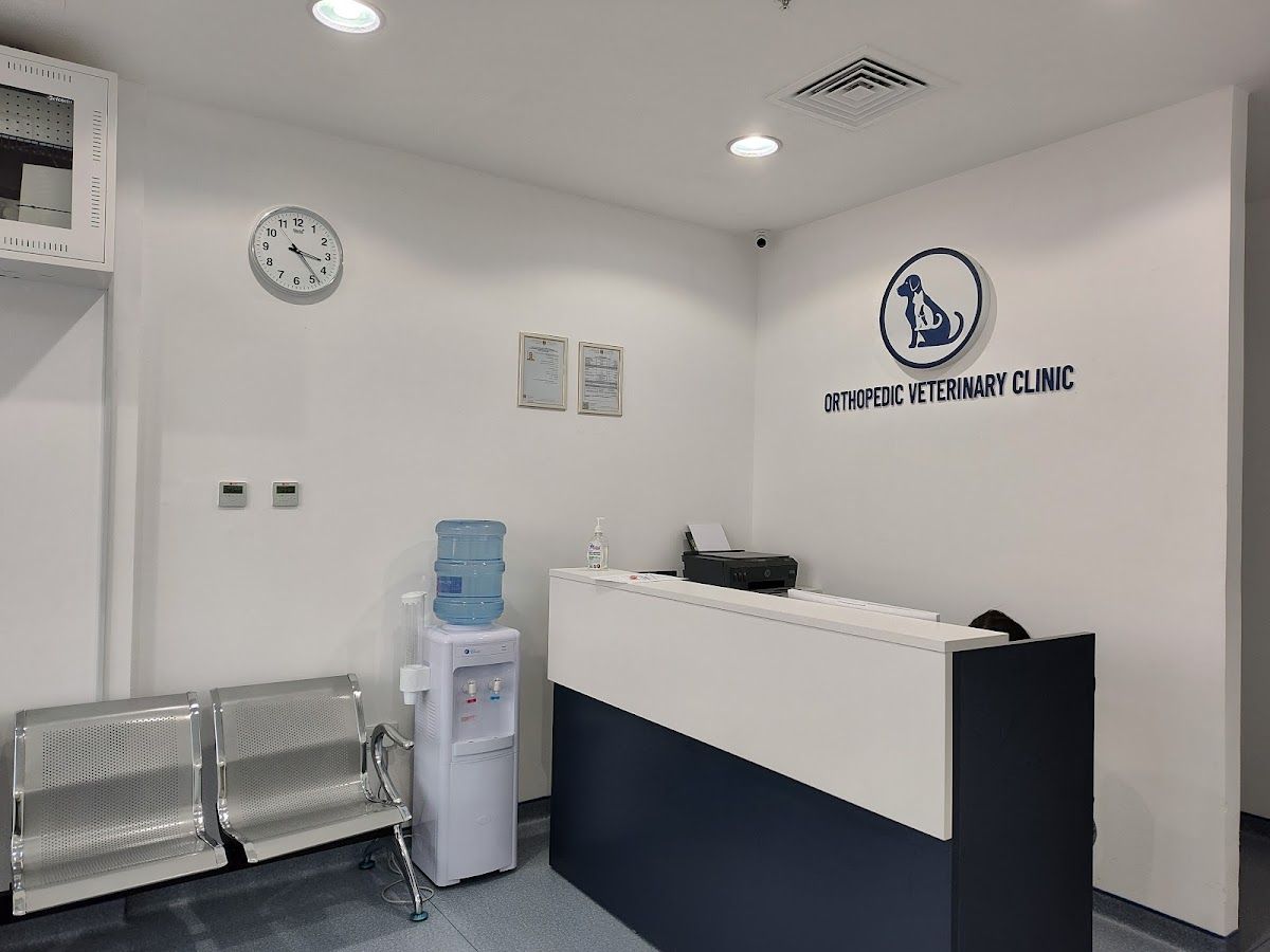 Orthopedic Veterinary Clinic 2