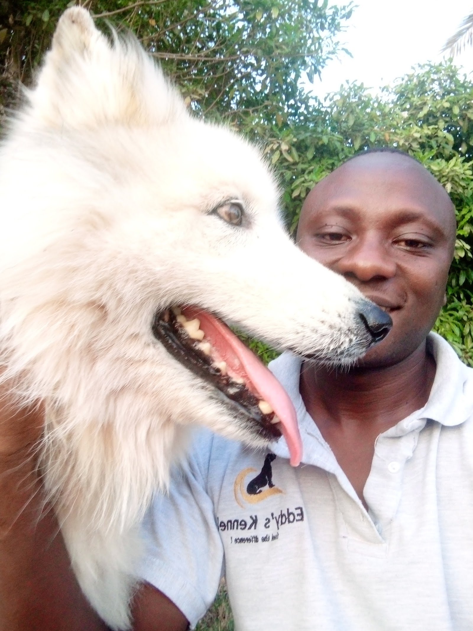 Worldwide K9 UAE photo 5