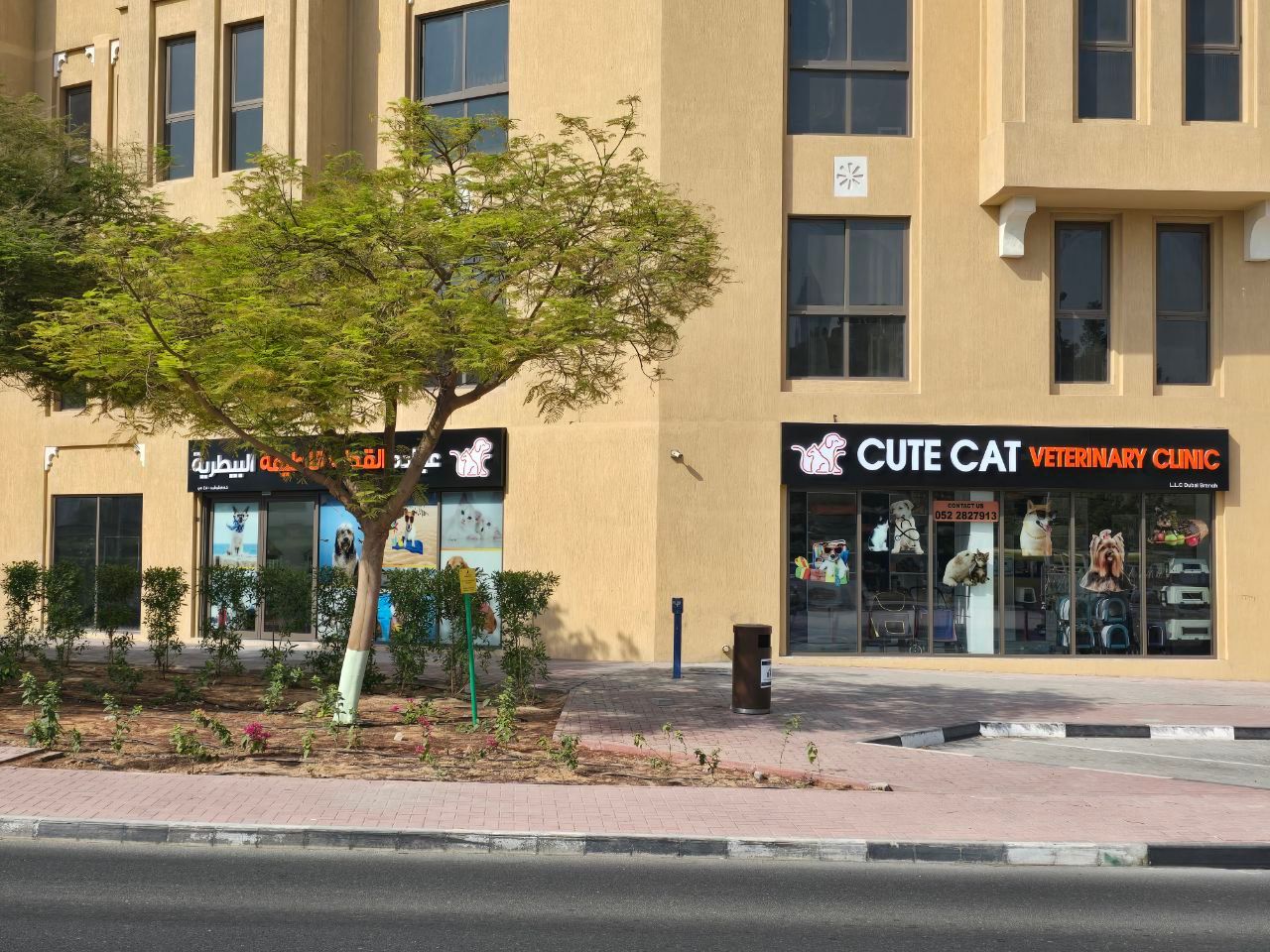 Cute Cat Veterinary Clinic