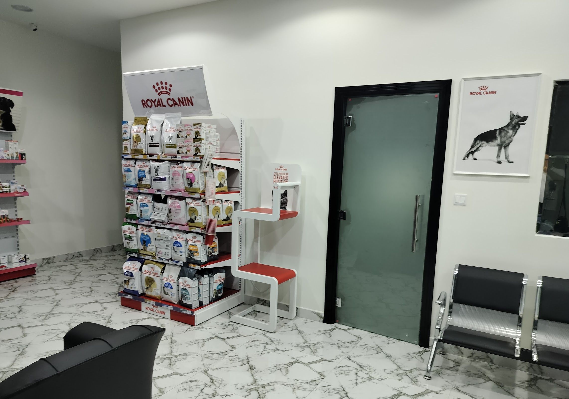 Cute Cat Veterinary Clinic 2